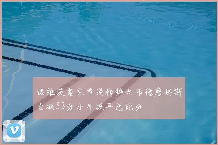 诺维茨基末节逆转热火韦德詹姆斯合砍53分小牛扳平总比分