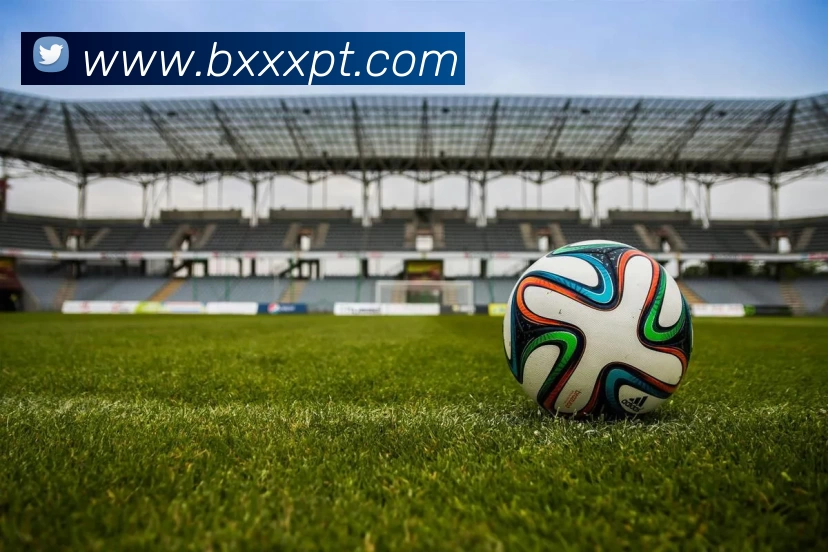 世界杯在线免费直播发展历程