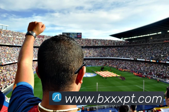 多媒体互动体验