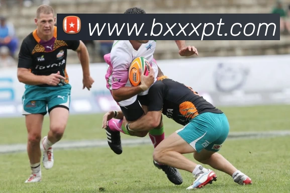 世界杯直播 - 世界杯直播在线观看免费 - 世界杯直播高清观看无插件 - 24直播网APP 体育赛事宣传图